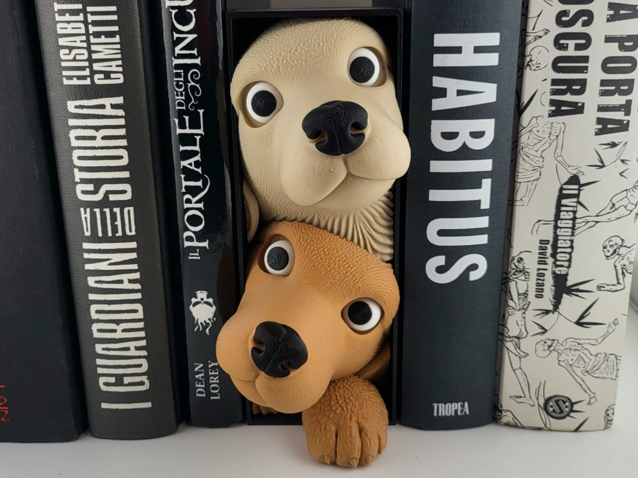 🐶🐾 بوک نوک دوستی سگ‌ها (Dog Friends Book...