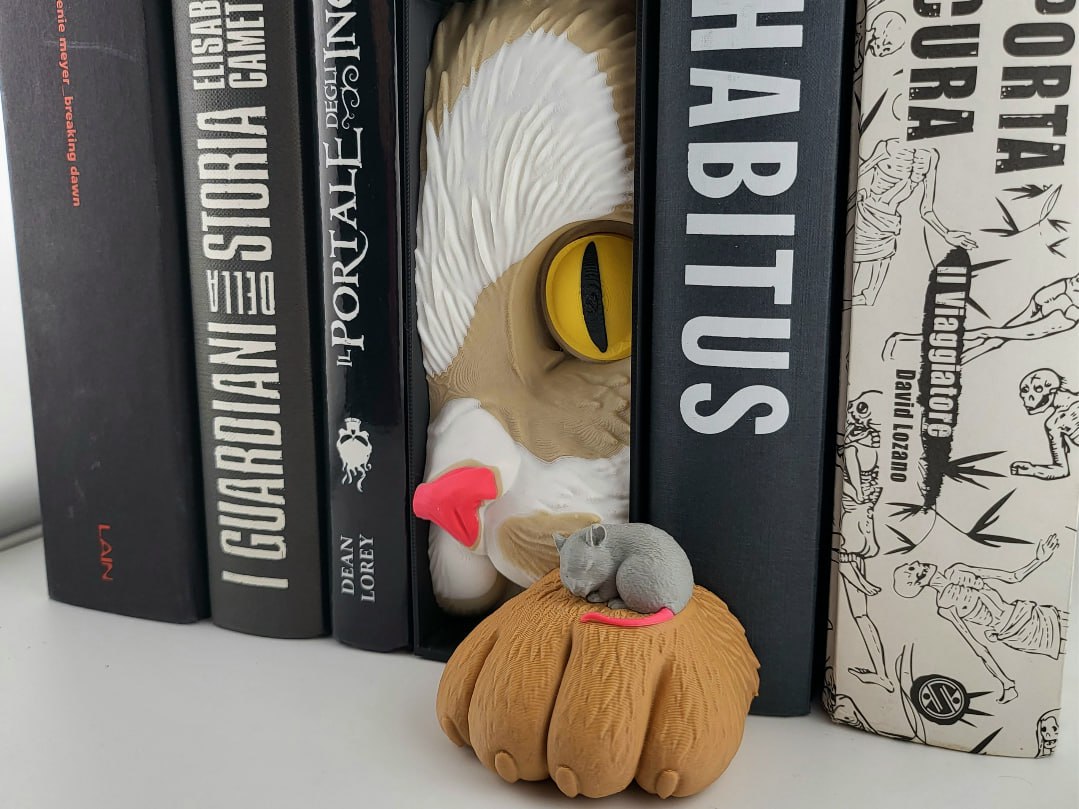 🐱🐭 بوک نوک گربه و موش (Cat &...